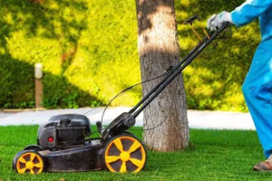 تصميم بدون عنوان - 2025-08-14T010509.079